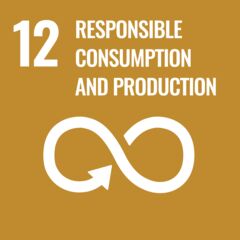 UN sustainable development goals